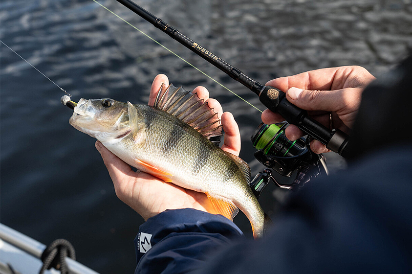 Hoe Zet Je Een Cheb Rig Op Voor Baars?