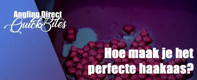 Hoe maak je het perfecte expander haakaas? Witvissen Quickbite 